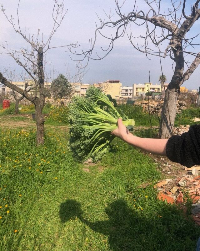 Des outils pour l'émancipation - Découverte de l'agroforesterie